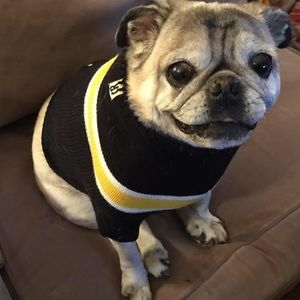 Meet your Posher, Renee